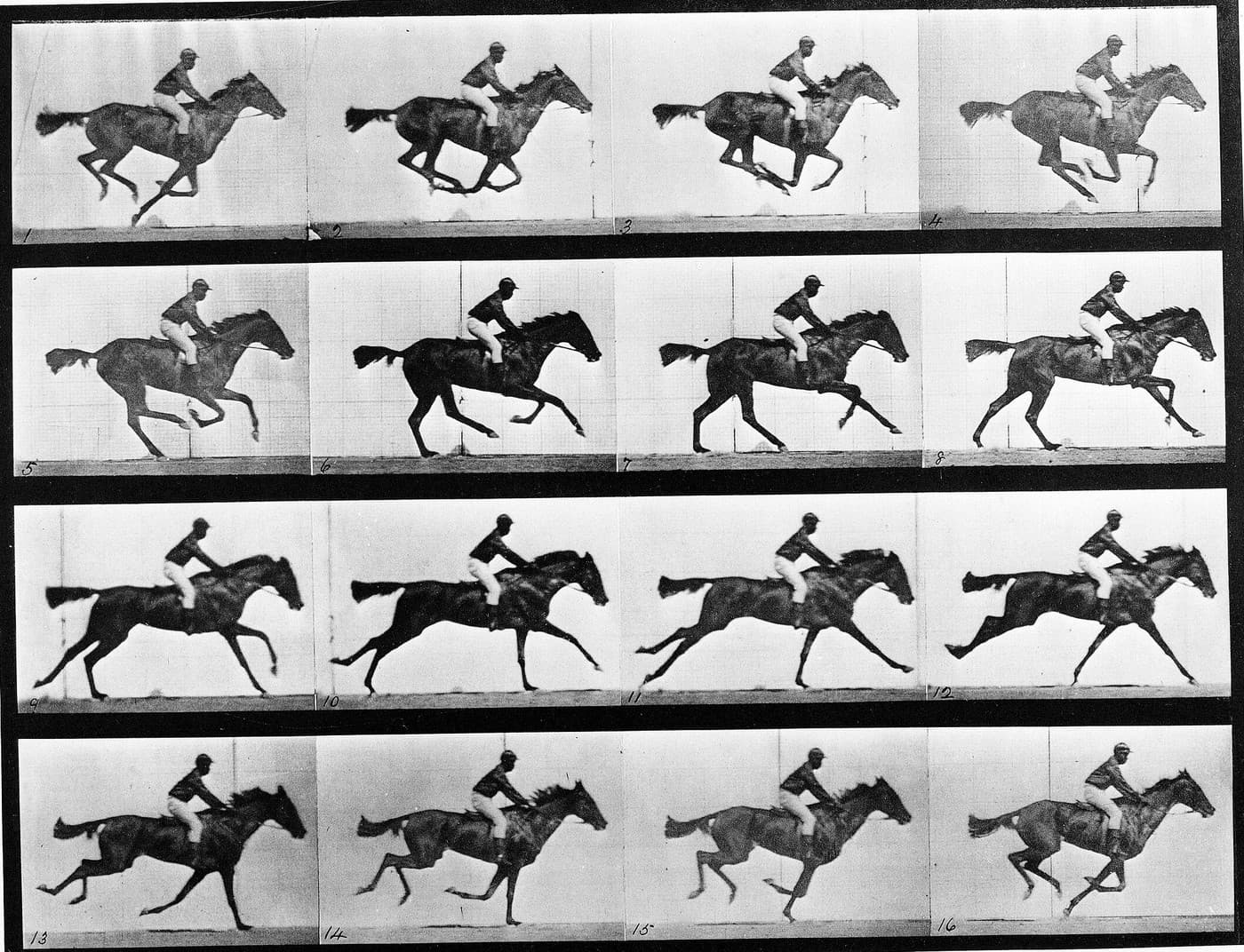 Eadweard Muybridge, Animal Locomotion Plate 626 (1887): a horse and rider photographed across a grid of sequential frames.
